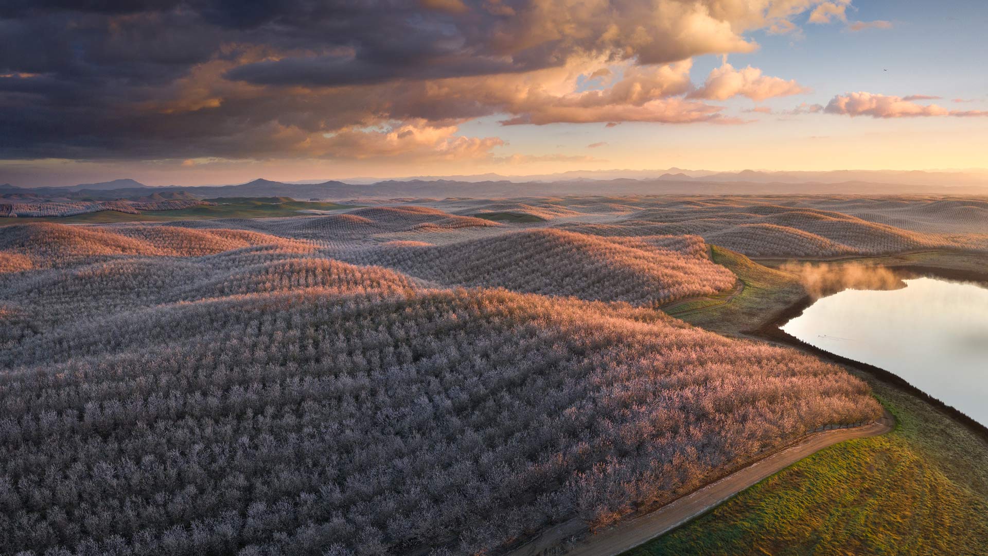 th?id=OHR.AlmondBloom_ZH-CN9441550492_1920x1080.jpg